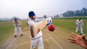 Read more about the article Welcome to Go Cricket Now